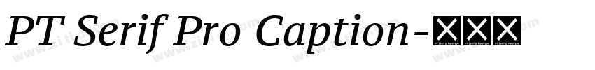 PT Serif Pro Caption字体转换